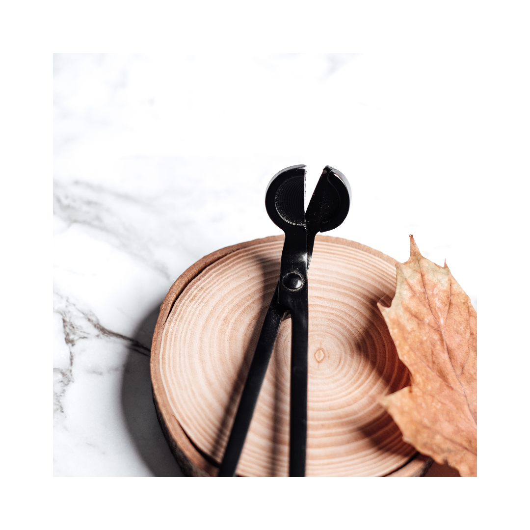 Wick Trimmer