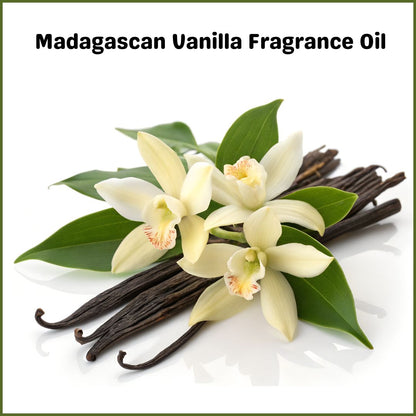 Madagascan Vanilla  Fragrance Oil